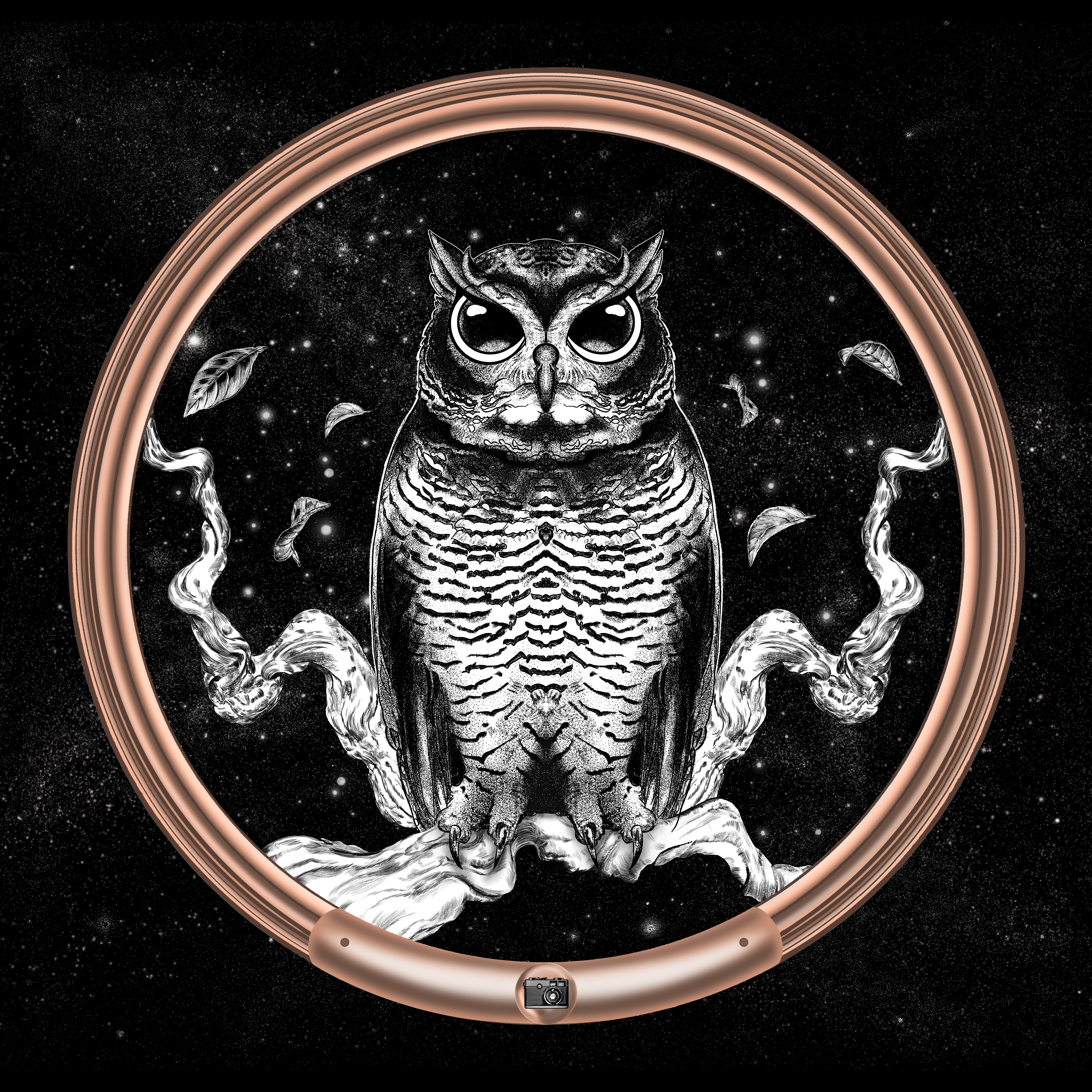 Enchanted Eagle #5/40