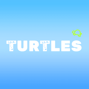 Turtles #3043