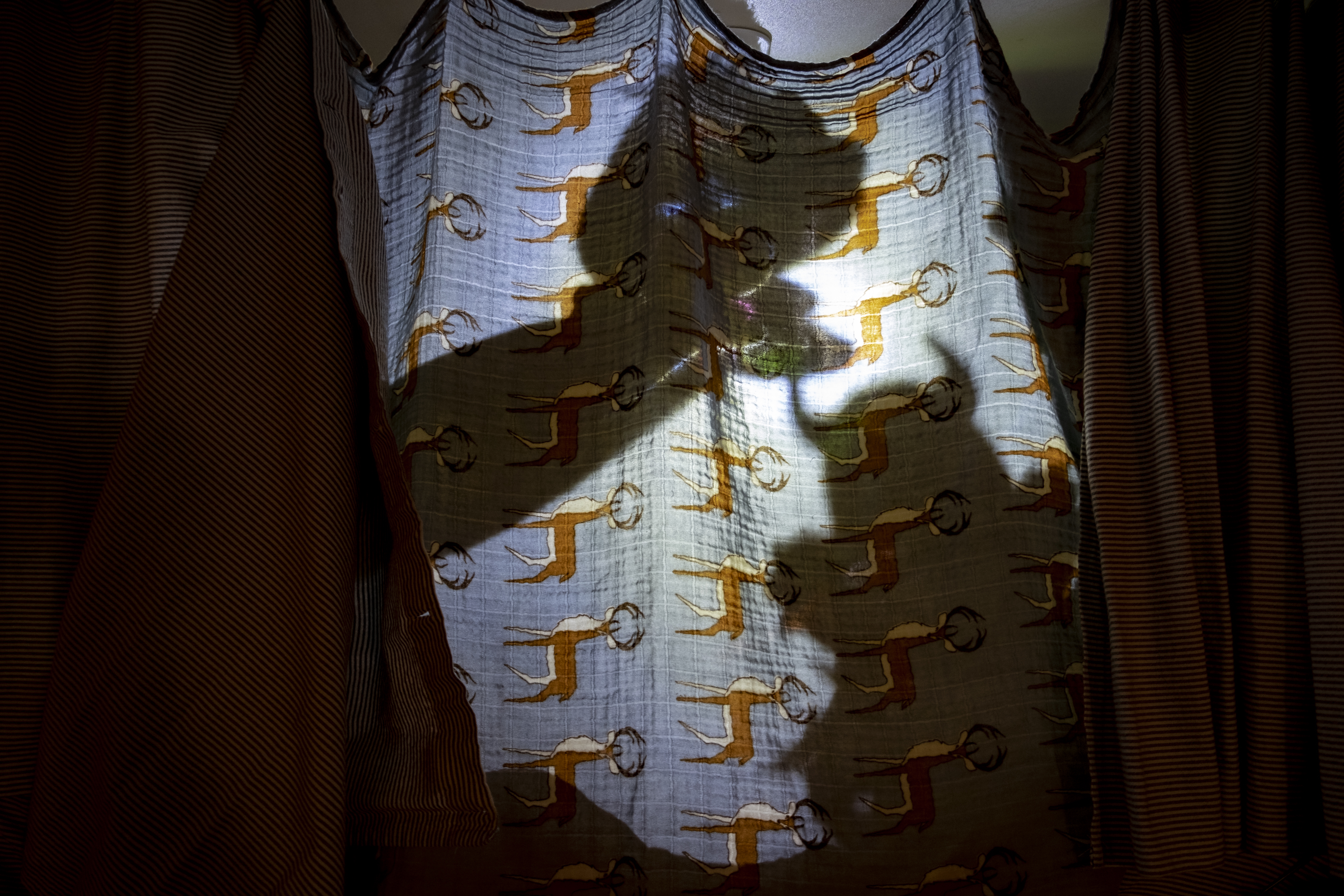 Shadows