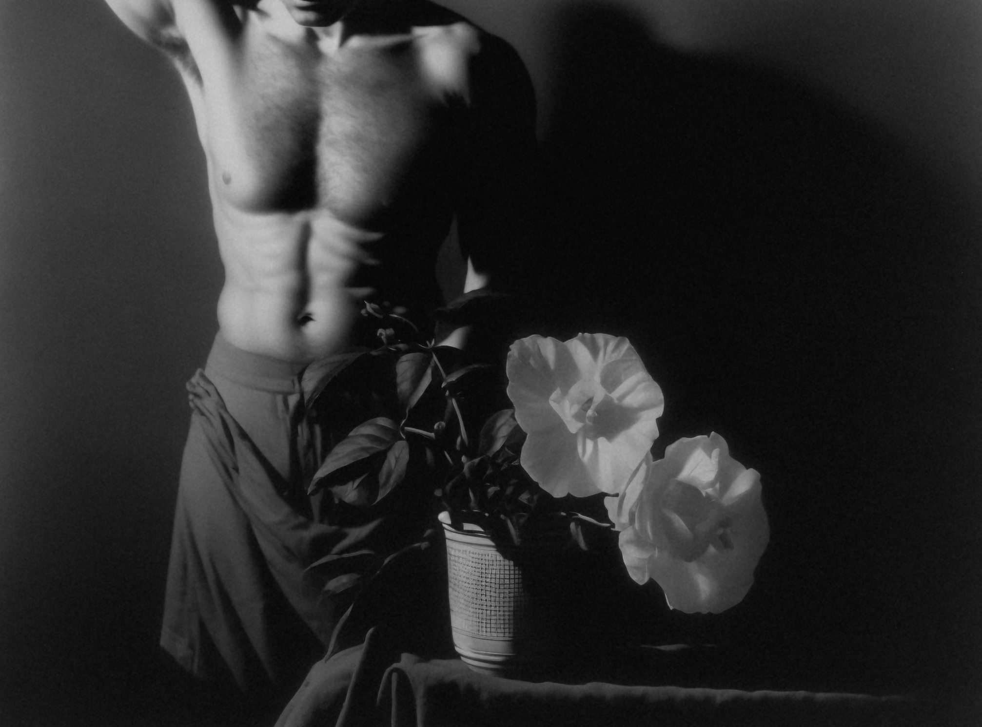 Morning Glory, Silver Gelatin Print (developing-out-process), 1931