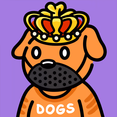 Cool Dog #3174