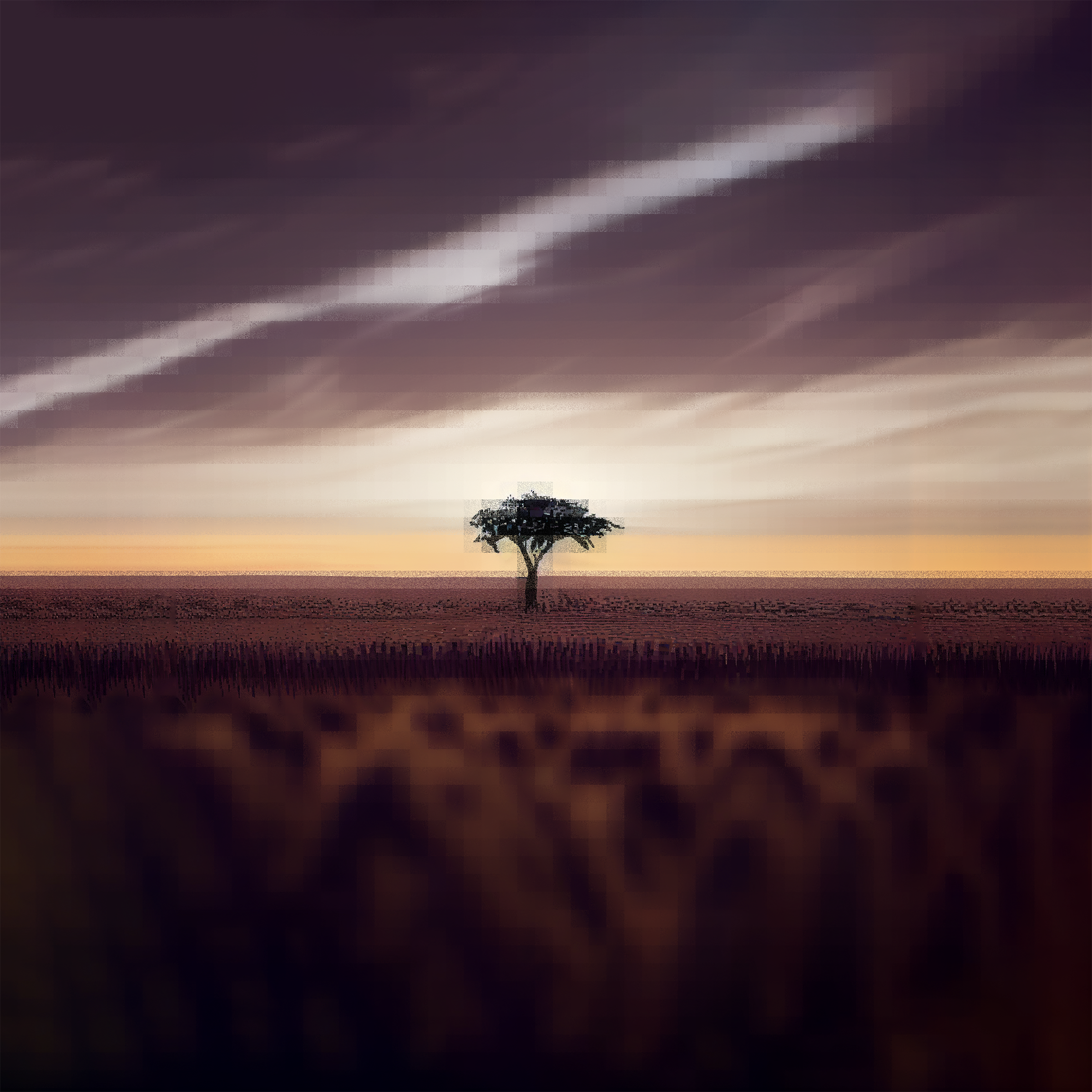 [ ROOT DIRECTORY ] #18