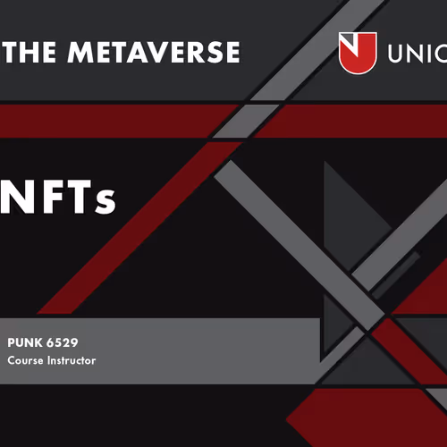 Lecture Video: PFP NFTs