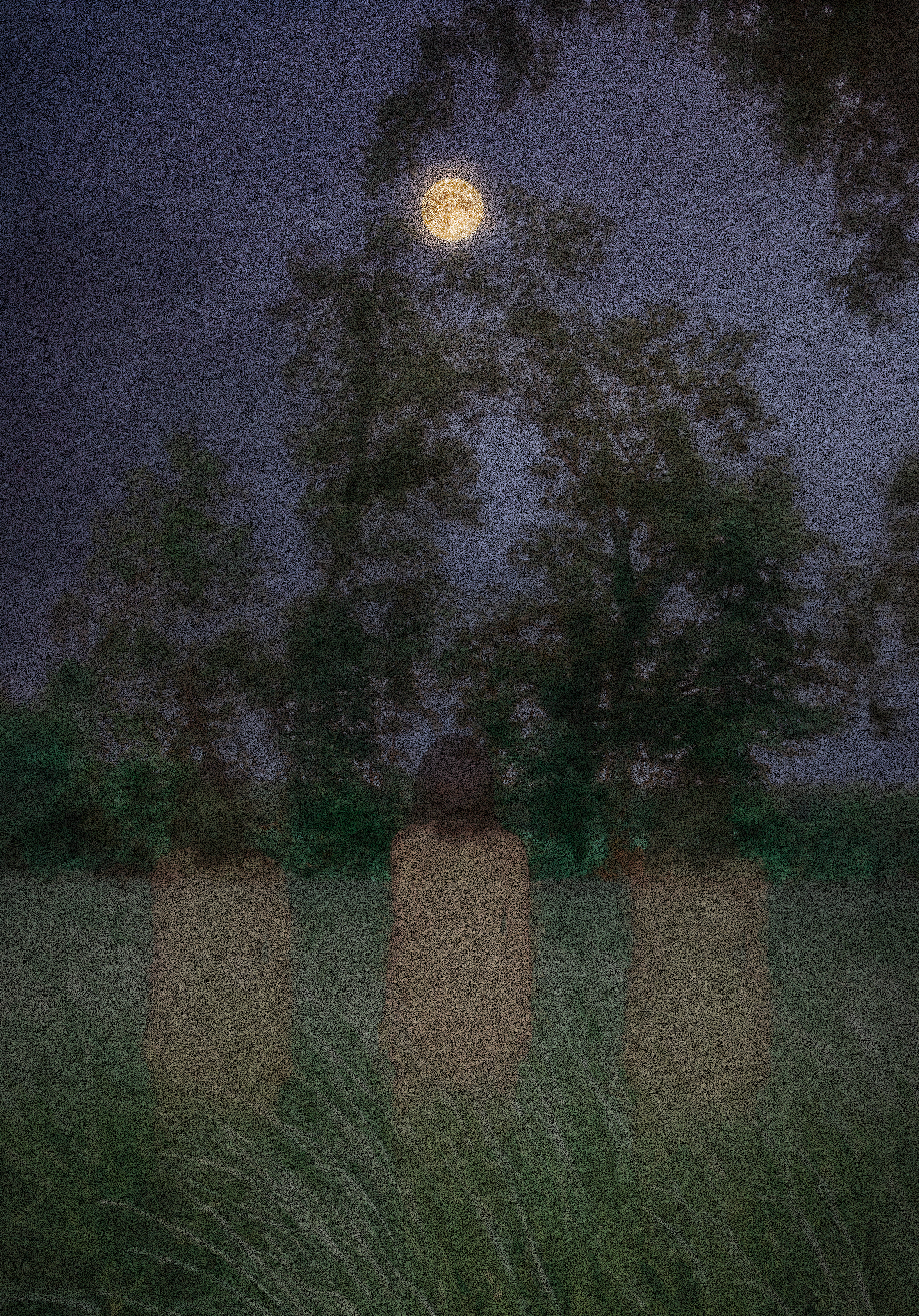 The Awakening