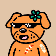 Cool Dog #2342 Raffle