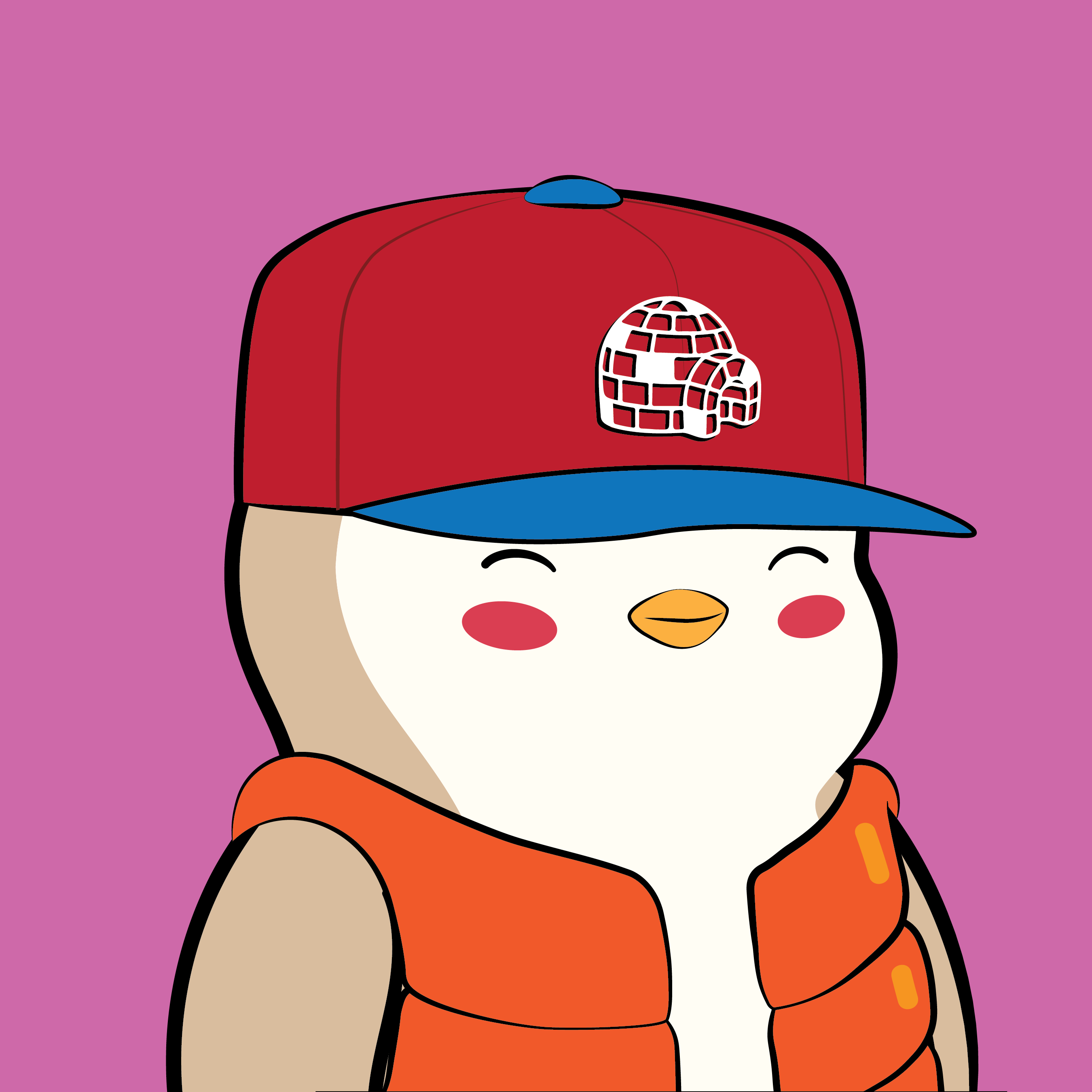 Pudgy Penguin #204