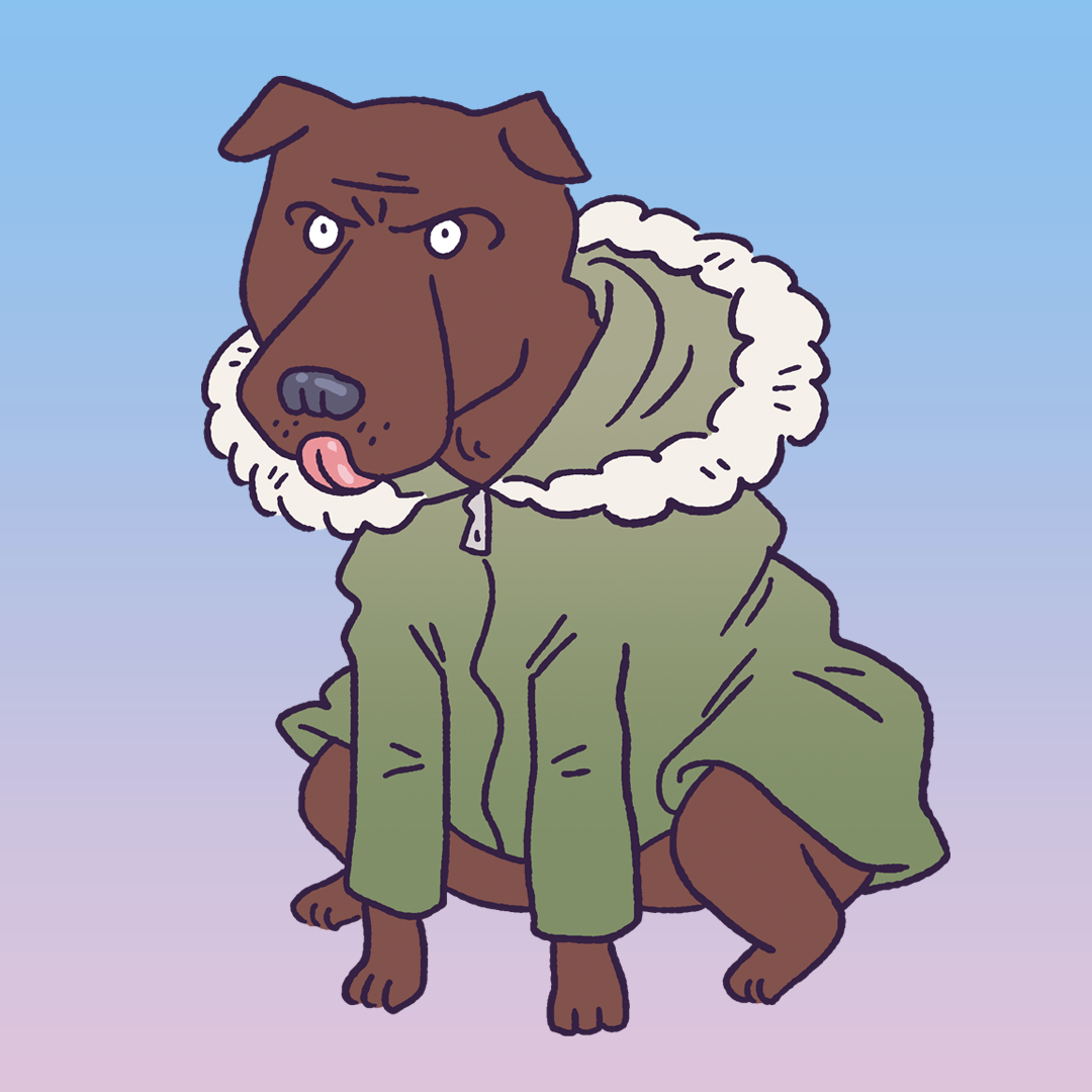 Wythenshawe Dog #1424