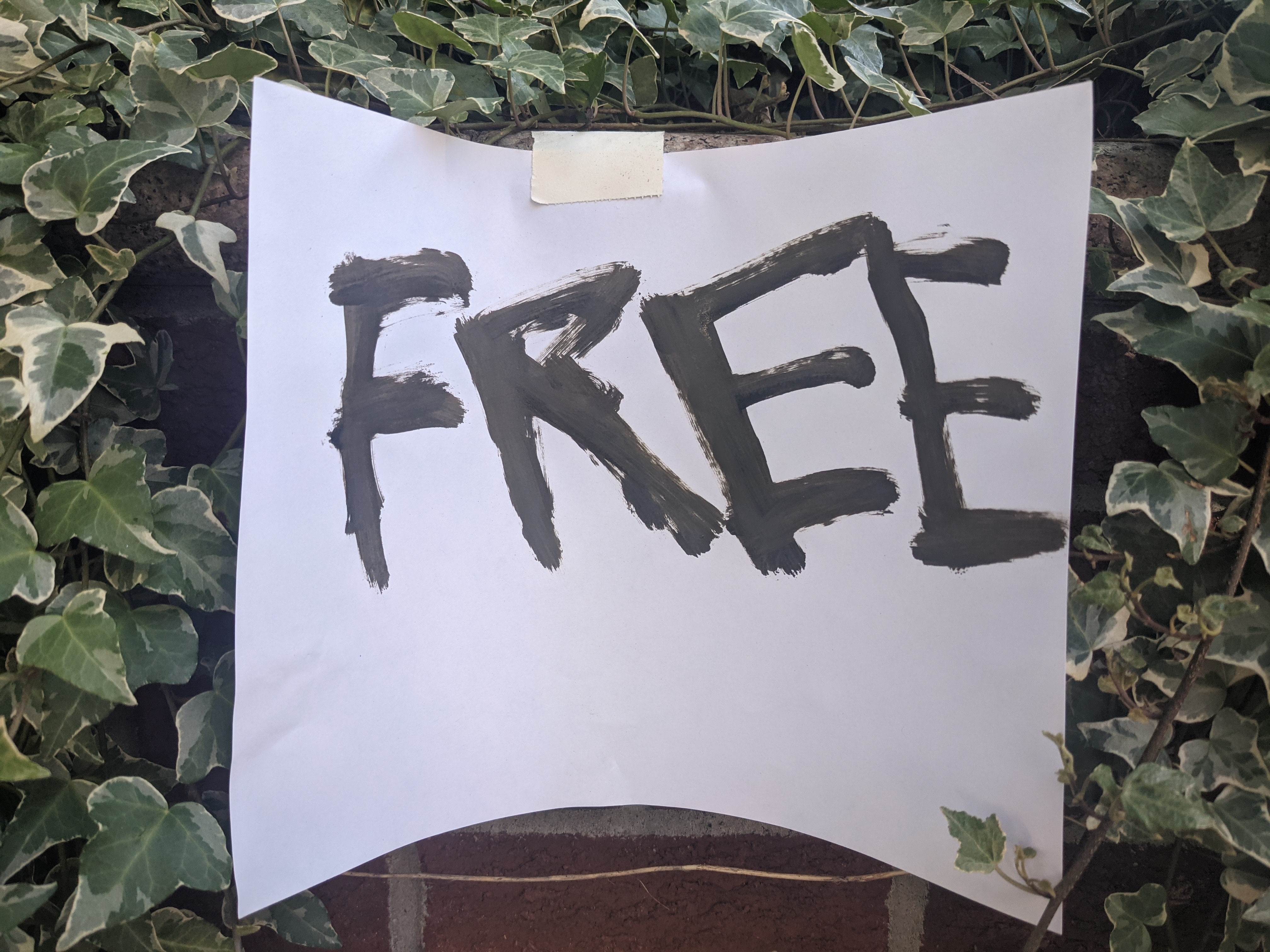 Free0 #3530