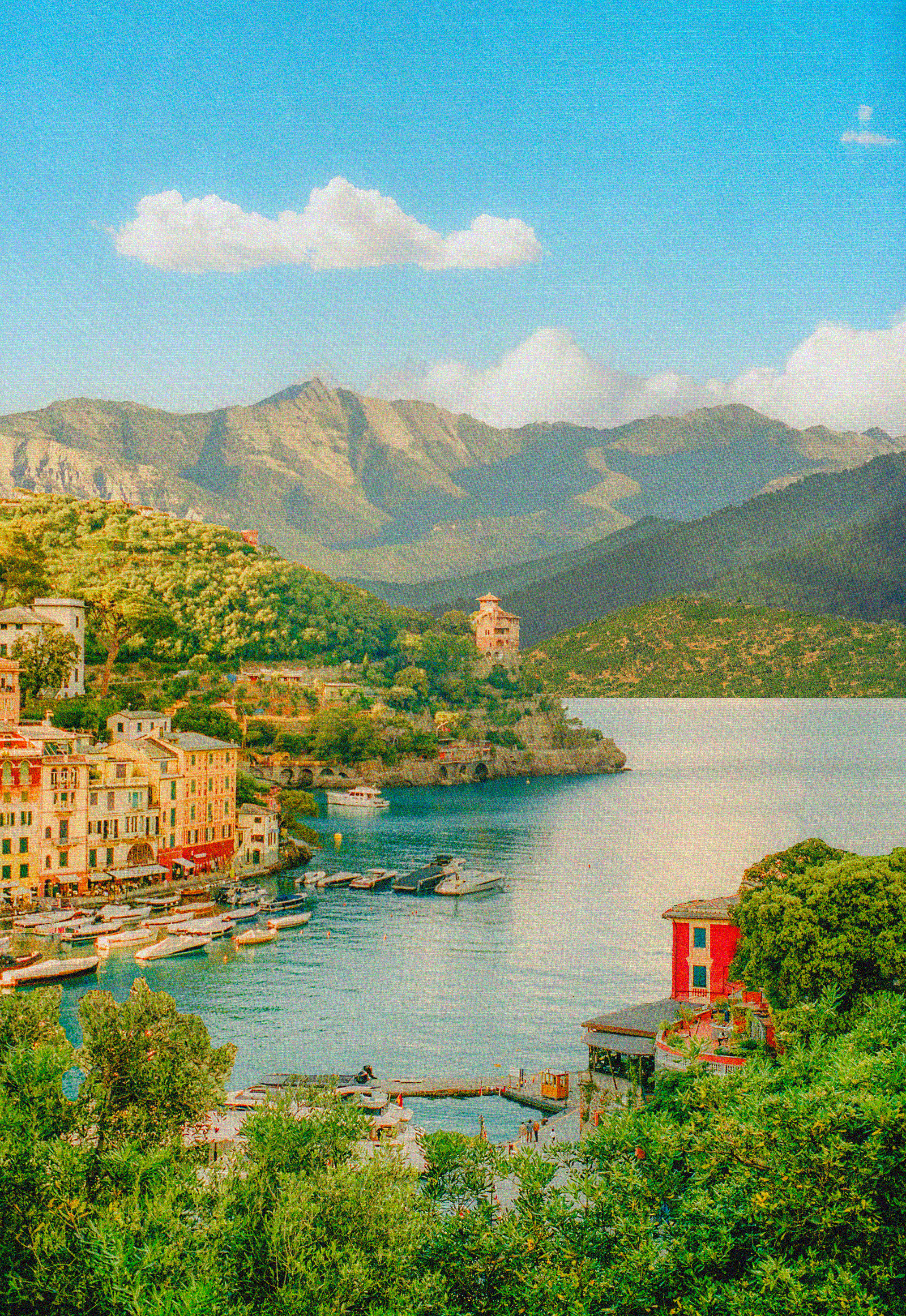 As The Days Go By #26/150