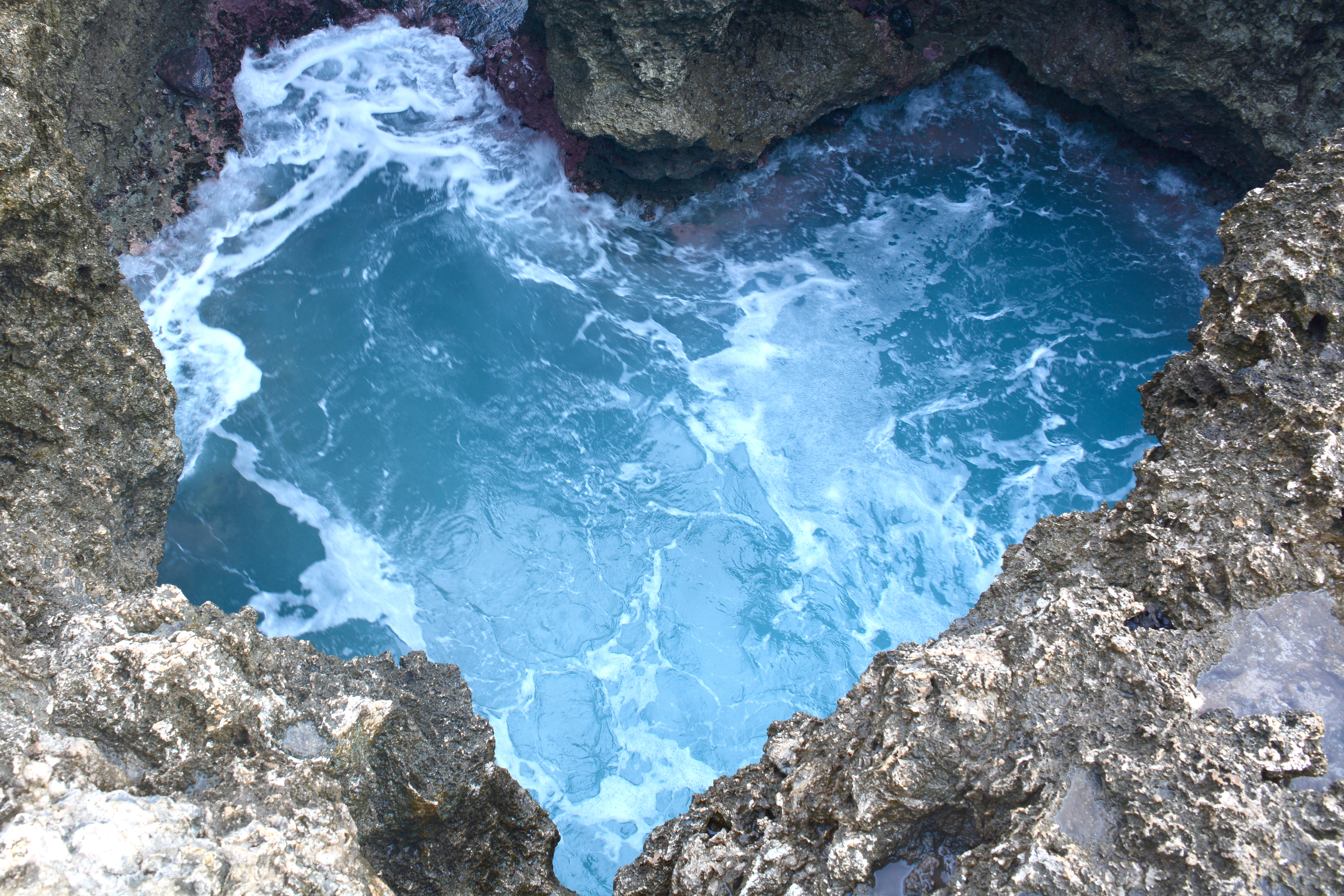 Ocean Heart