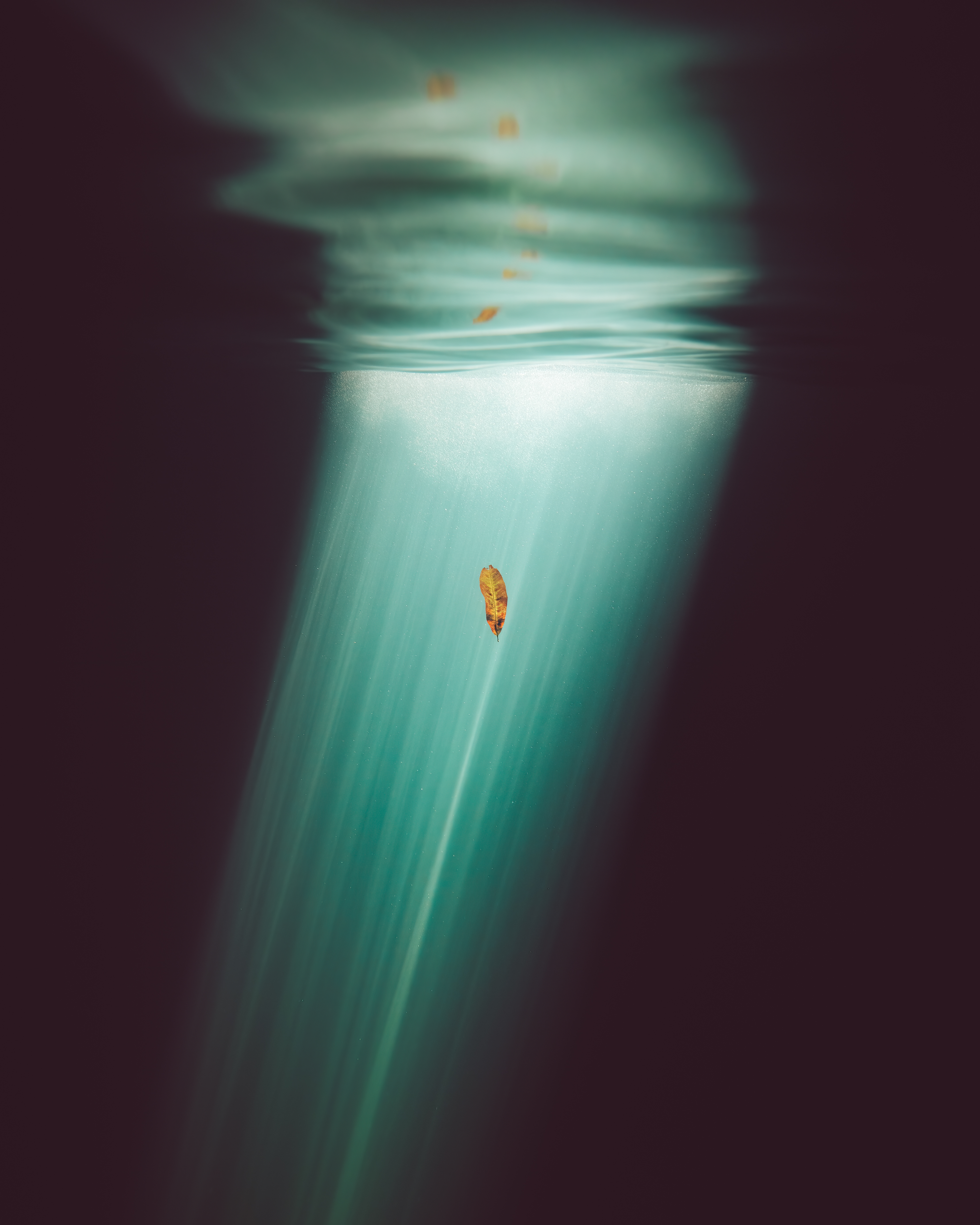 Out of Bounds