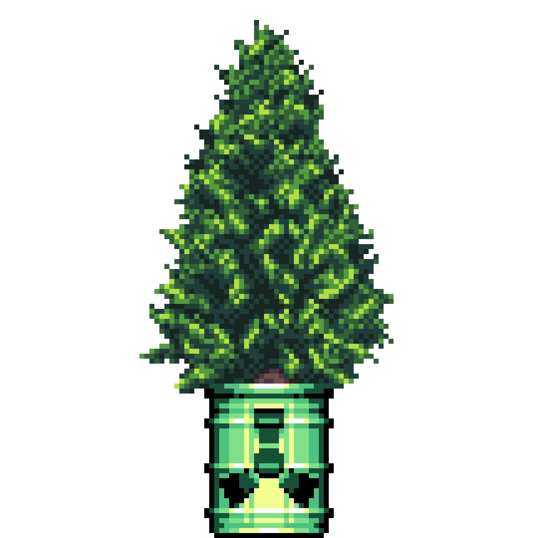 Cedar Pine in Radioactive Waste pot