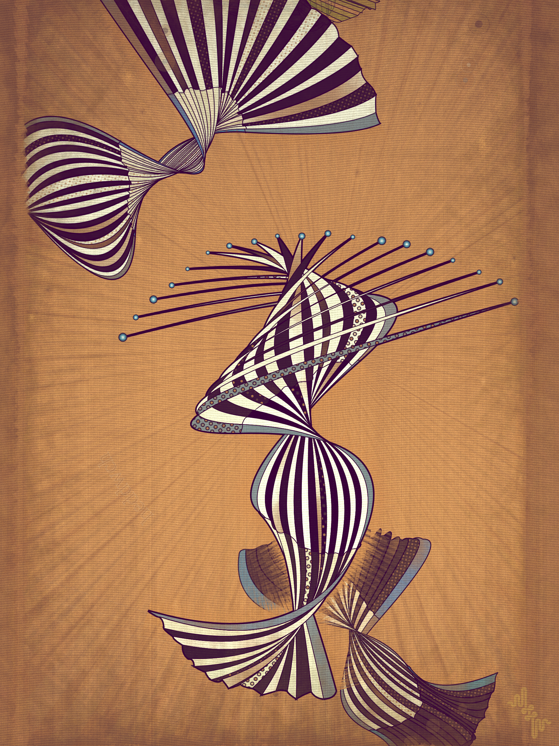Velum #47