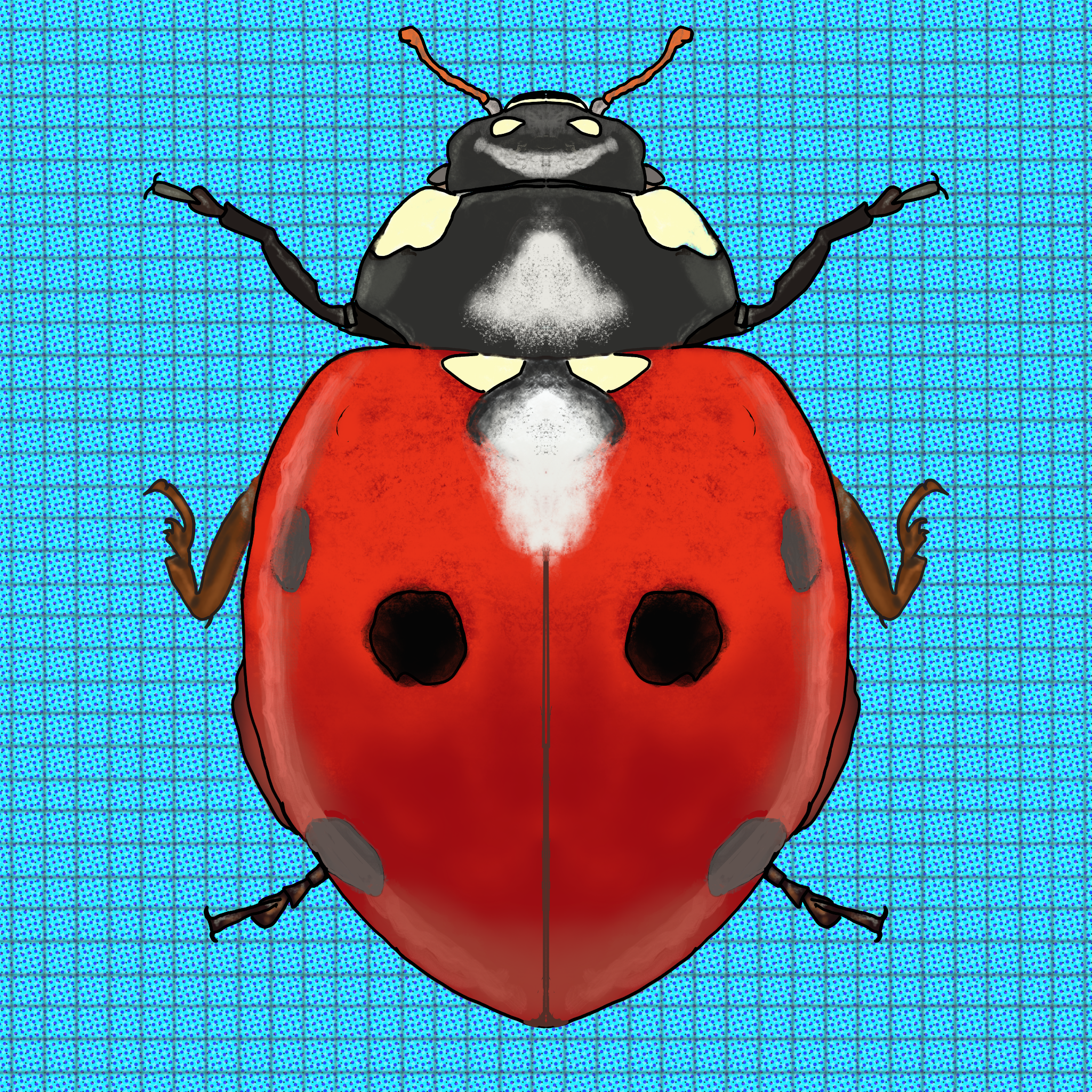 Meet the Beetles #003