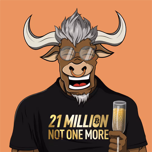 B4D BULL #386