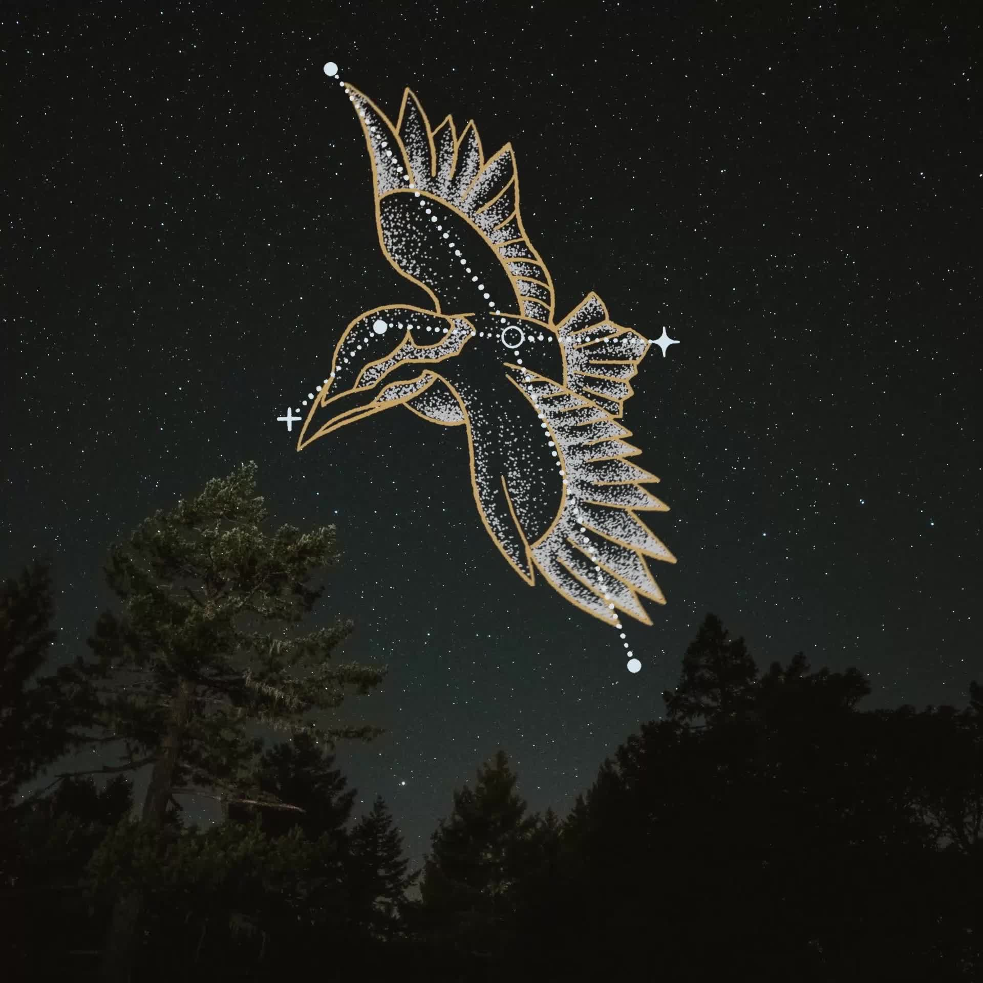 King Fisher #123/145