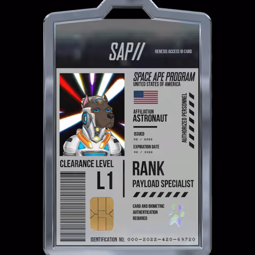 SAP Genesis Access #13