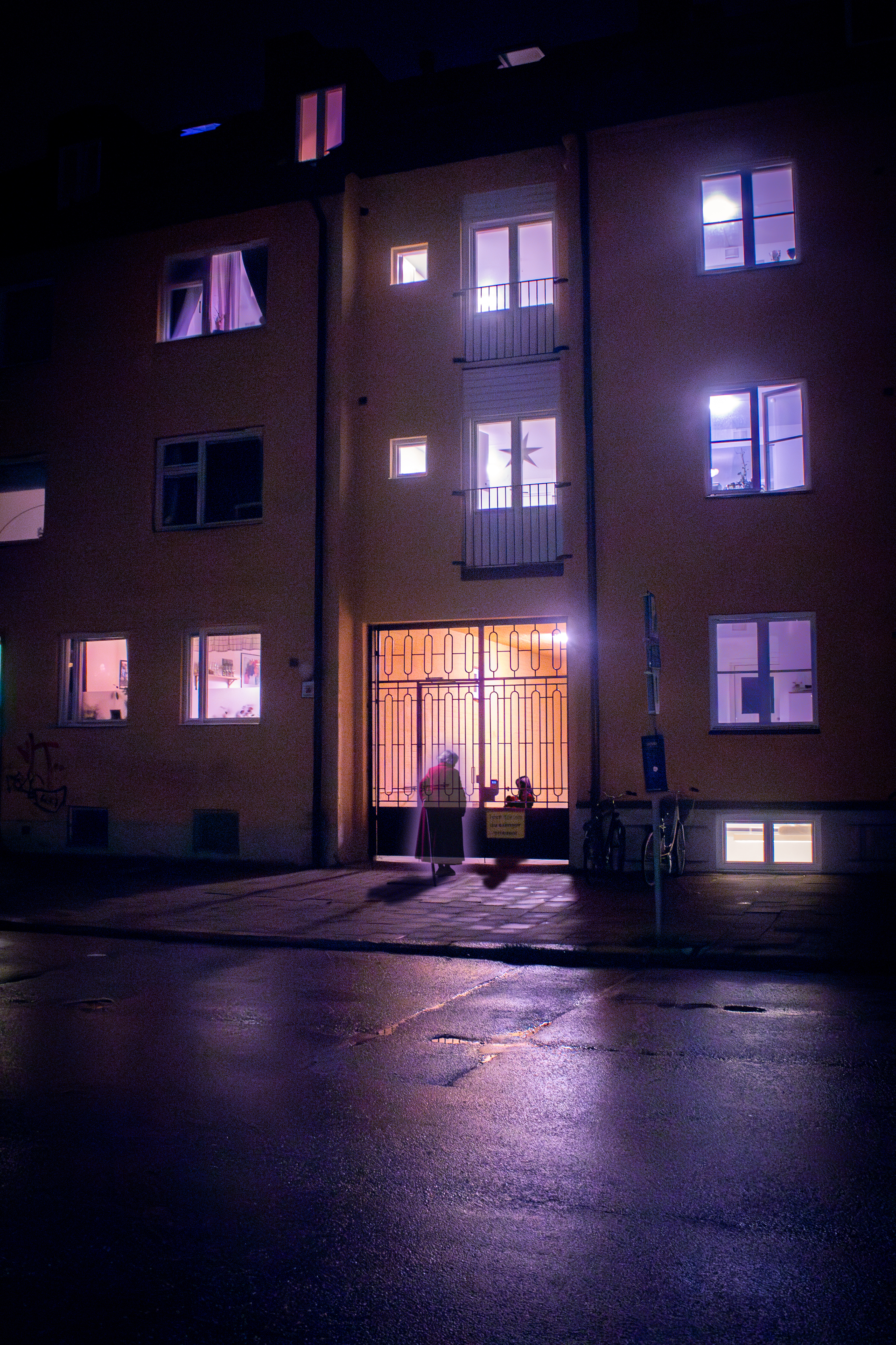 Nocturnal Succession