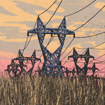 Kings of the Grassland