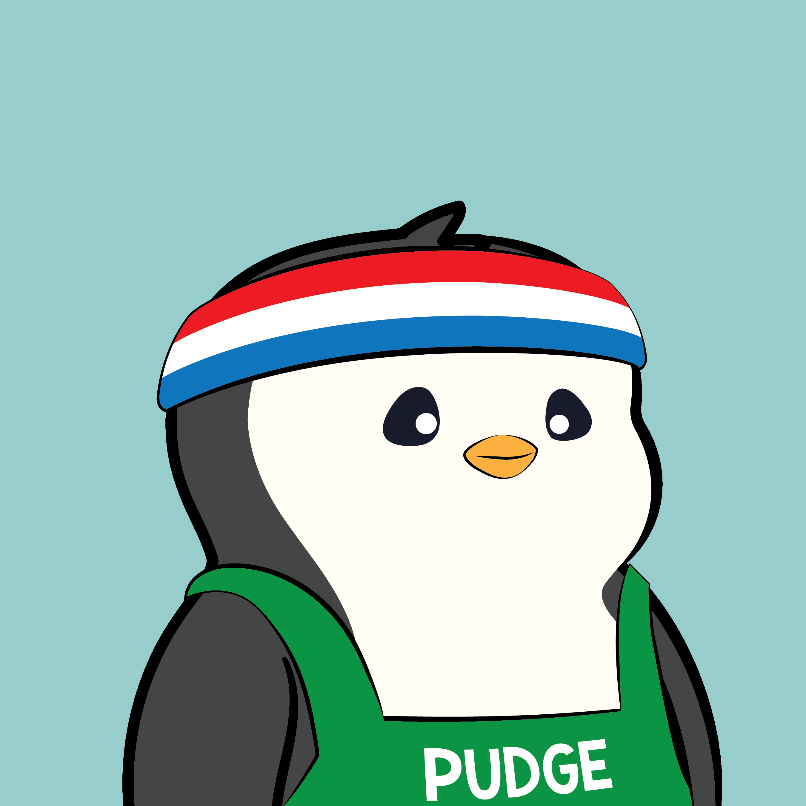 Pudgy #5272