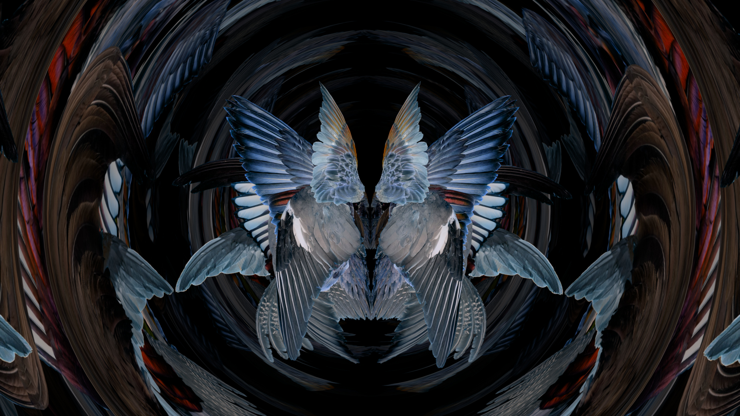 Fuga delle Sirene XXII