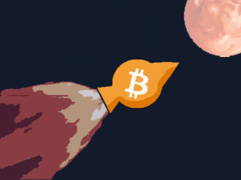 To the moon