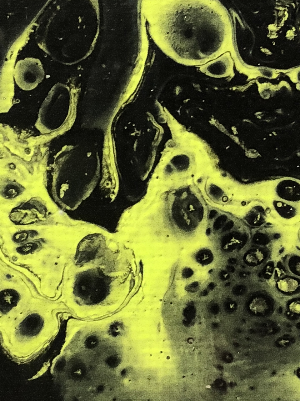 Fluidity Observations #2