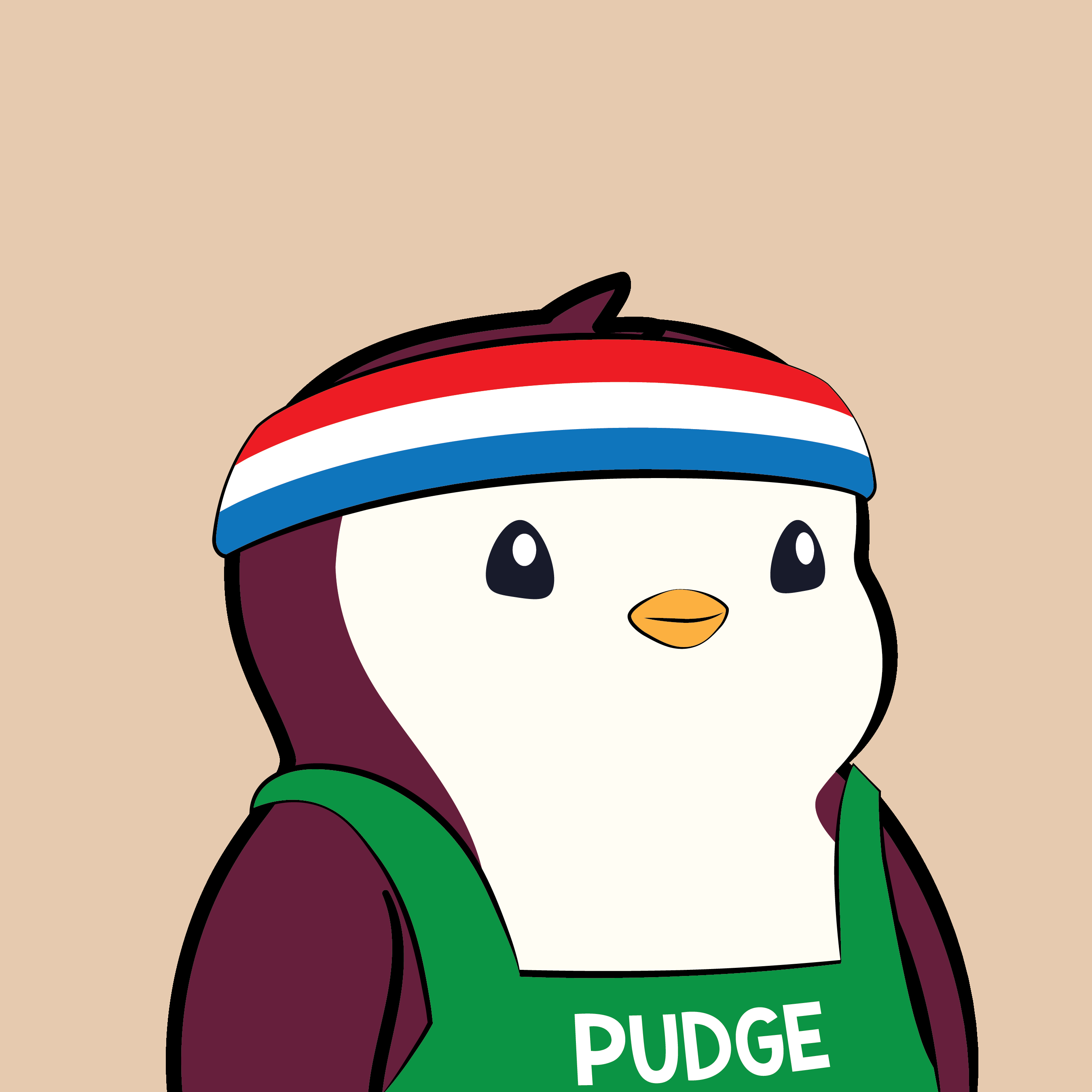Pudgy #5419