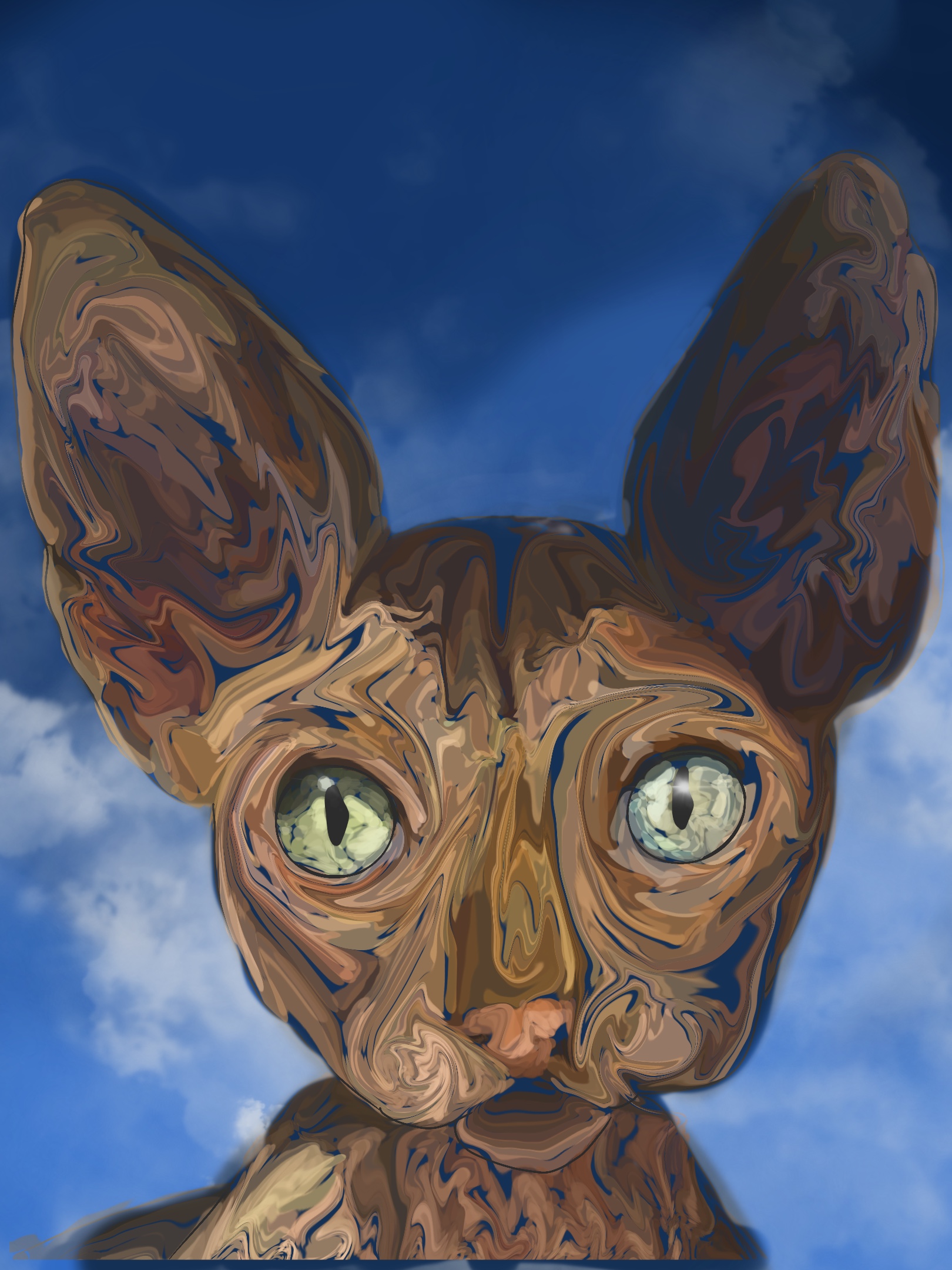 Sky