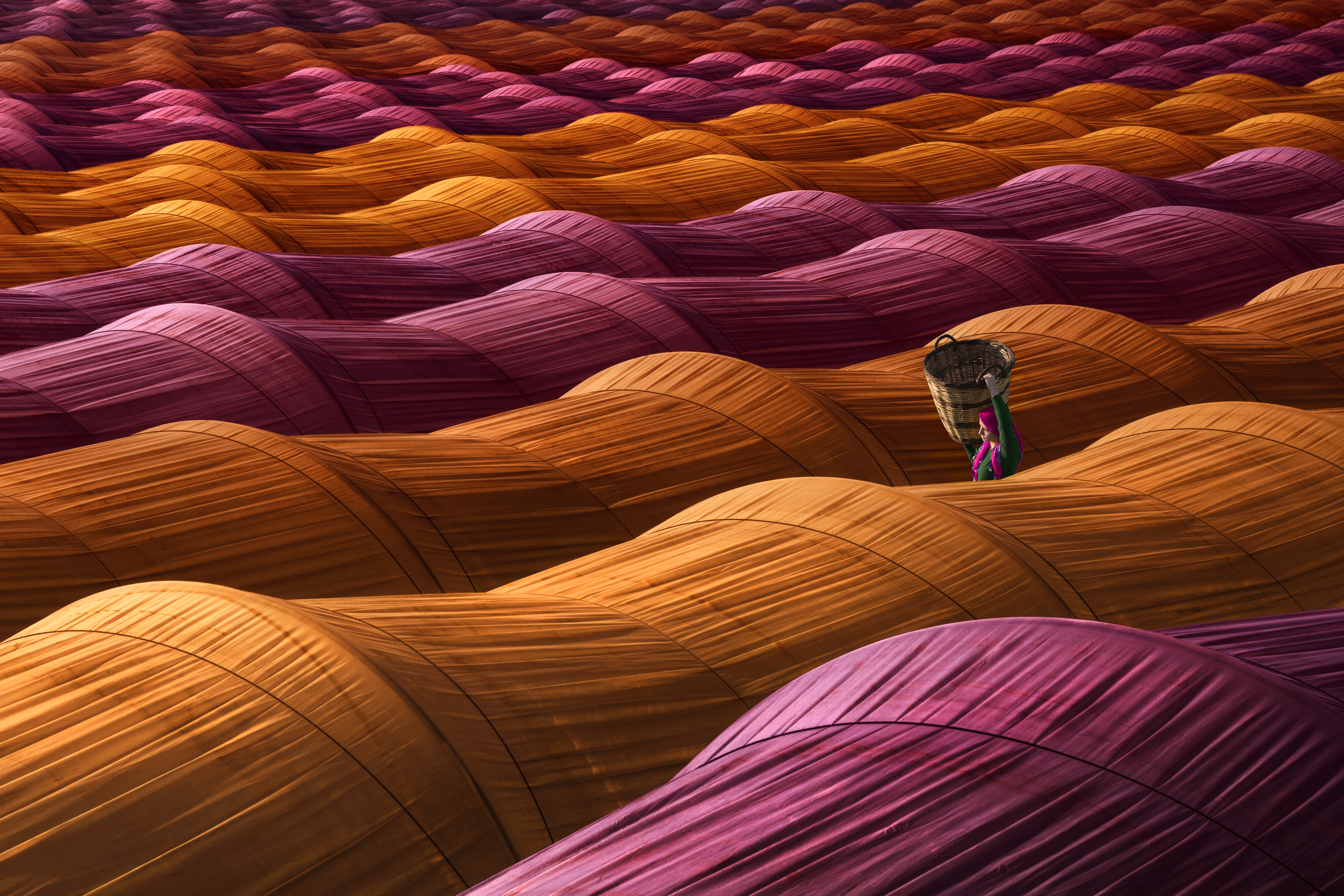 strawberry greenhouse-1