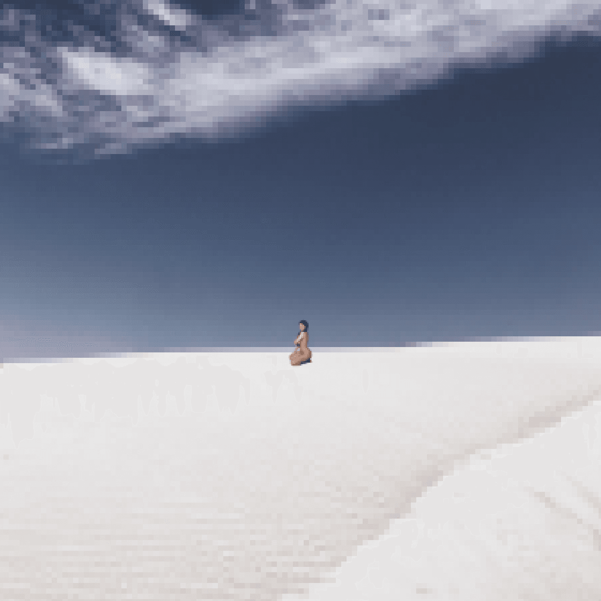 Nude Pixels in Nature_011