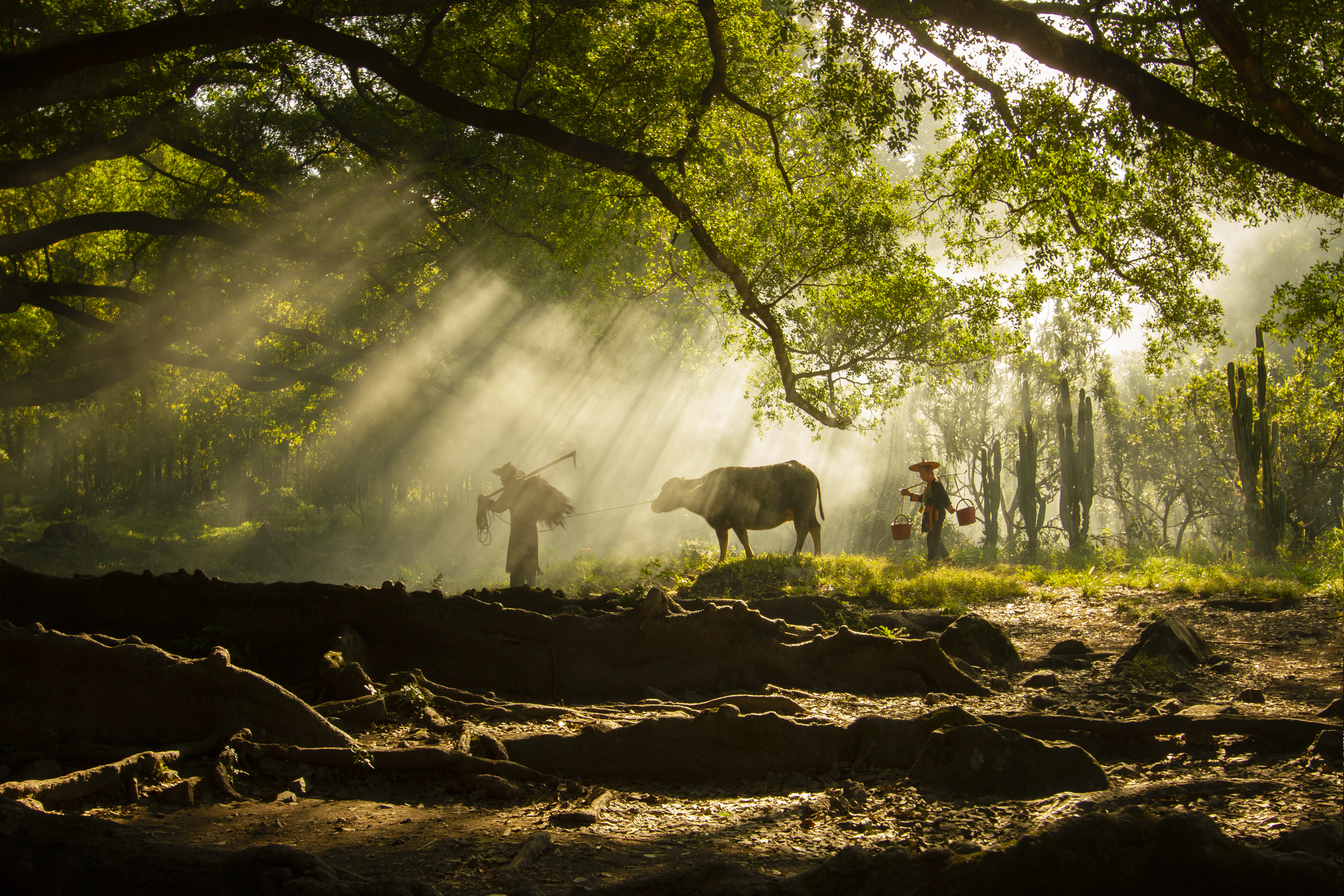 Magic of Light