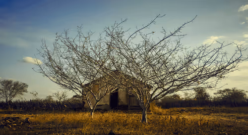 Strongest #9 - House of Her Parents