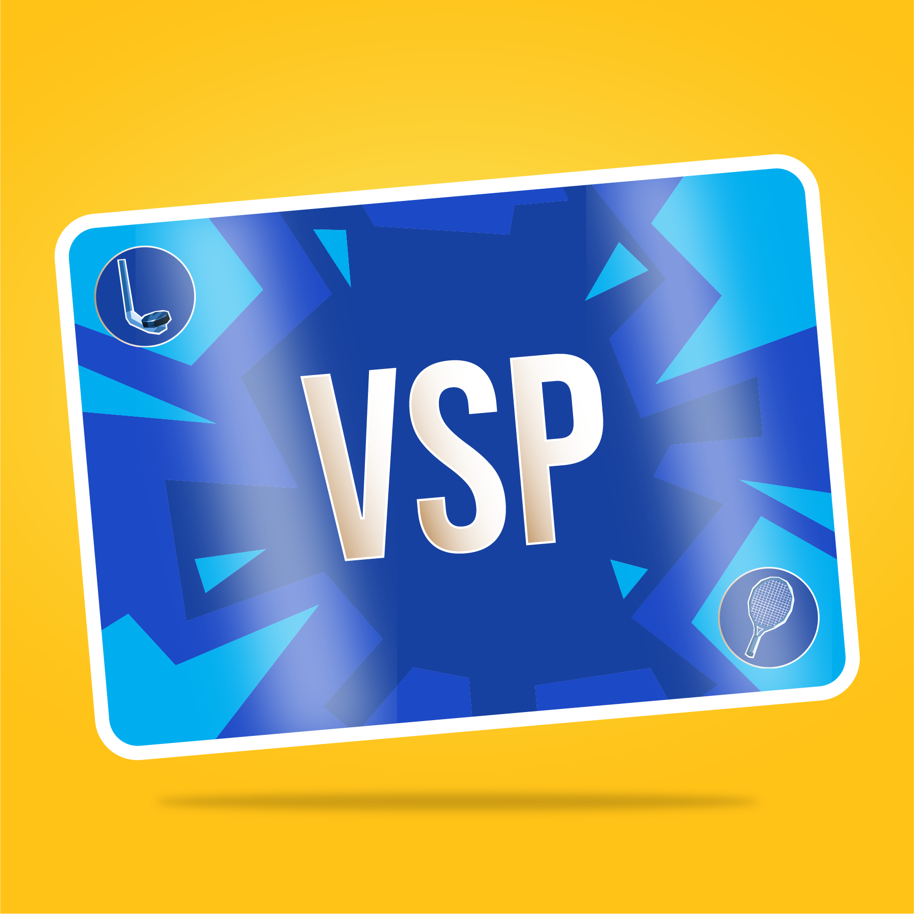 VaynerSports Pass #2229