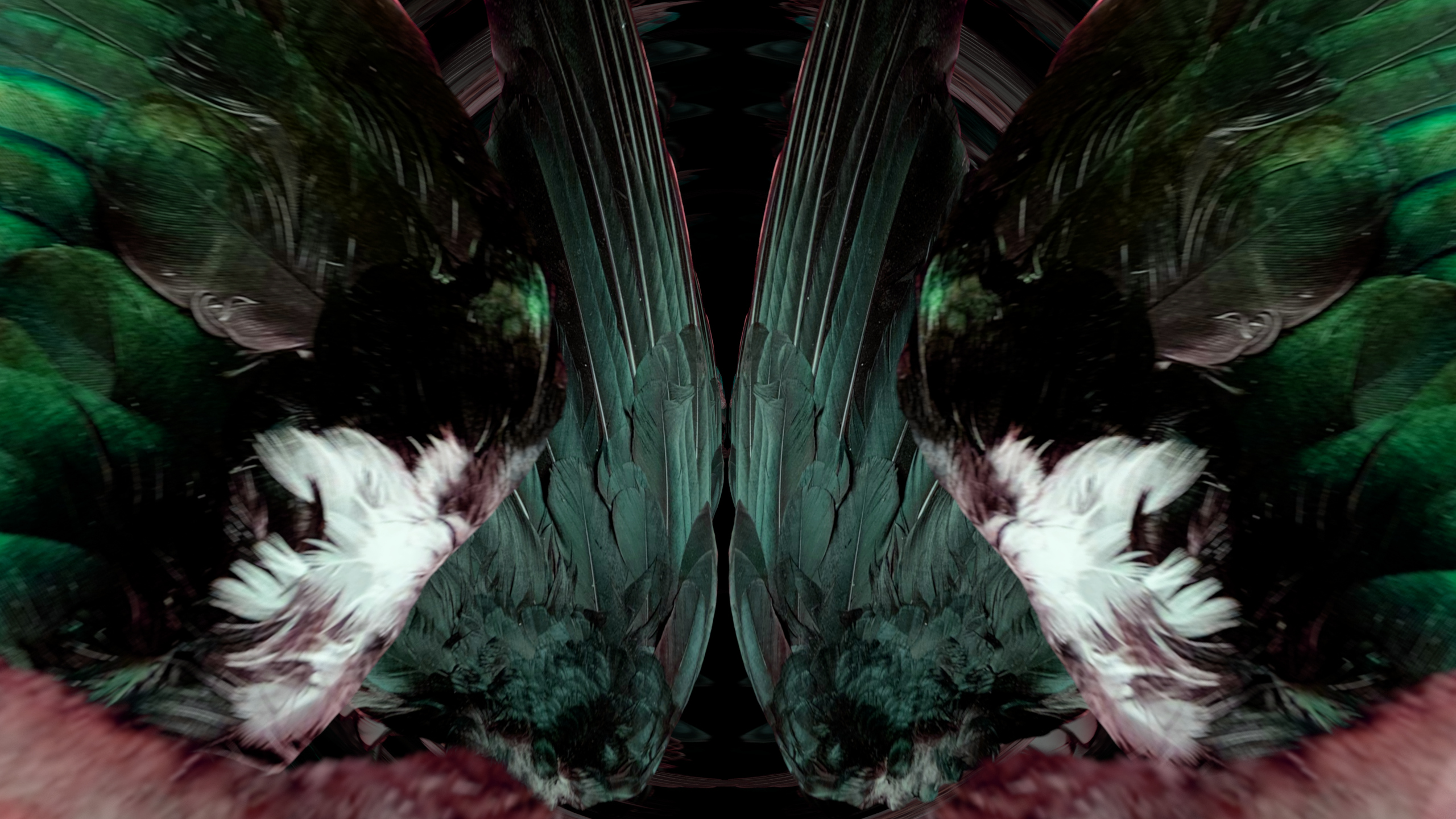 Fuga delle Sirene LIV