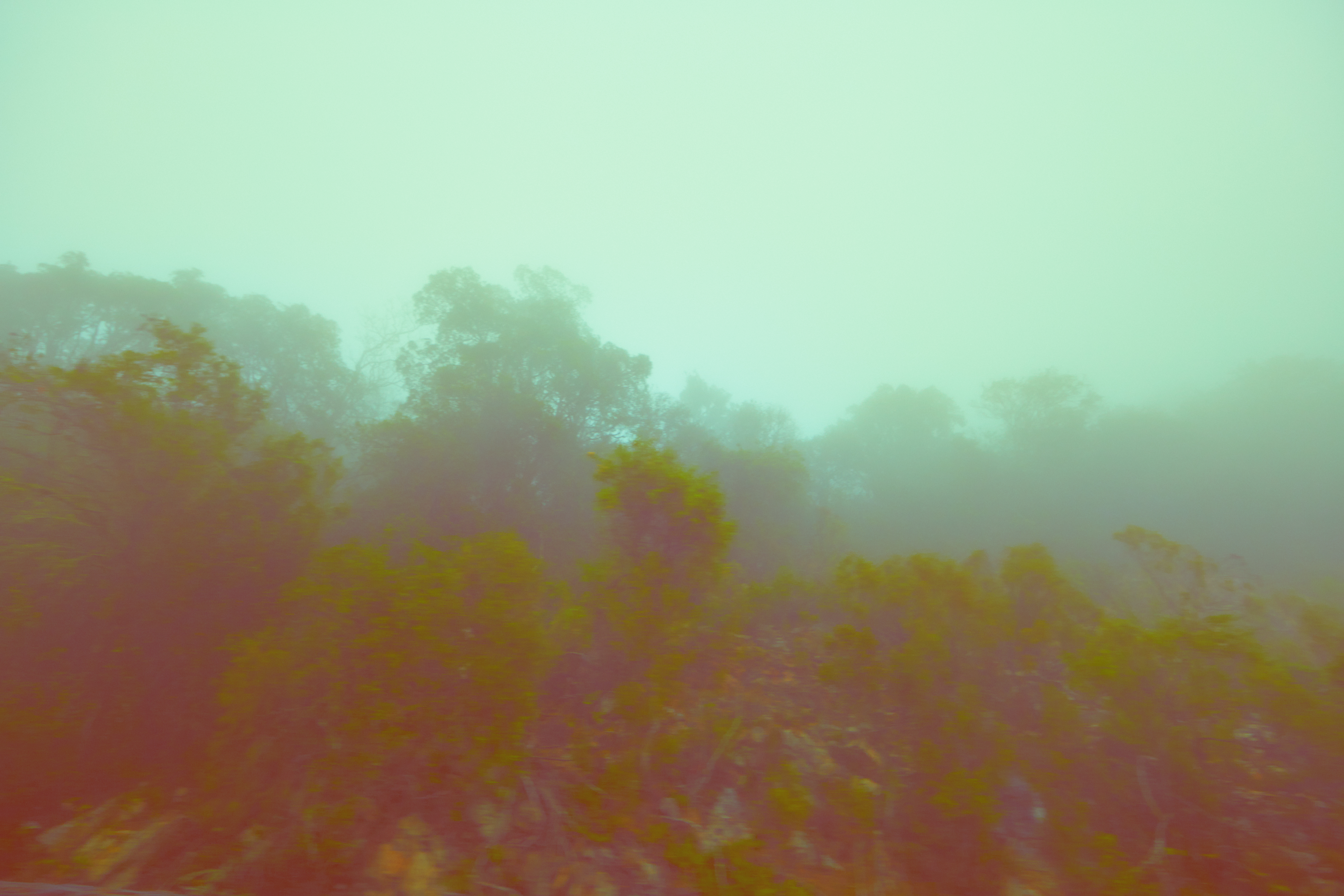 MYSTERY // RANDOMLY ACCESSED MEMORIES 01