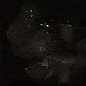 Neural Network Mind Warp