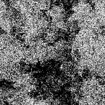 Noise #25 
