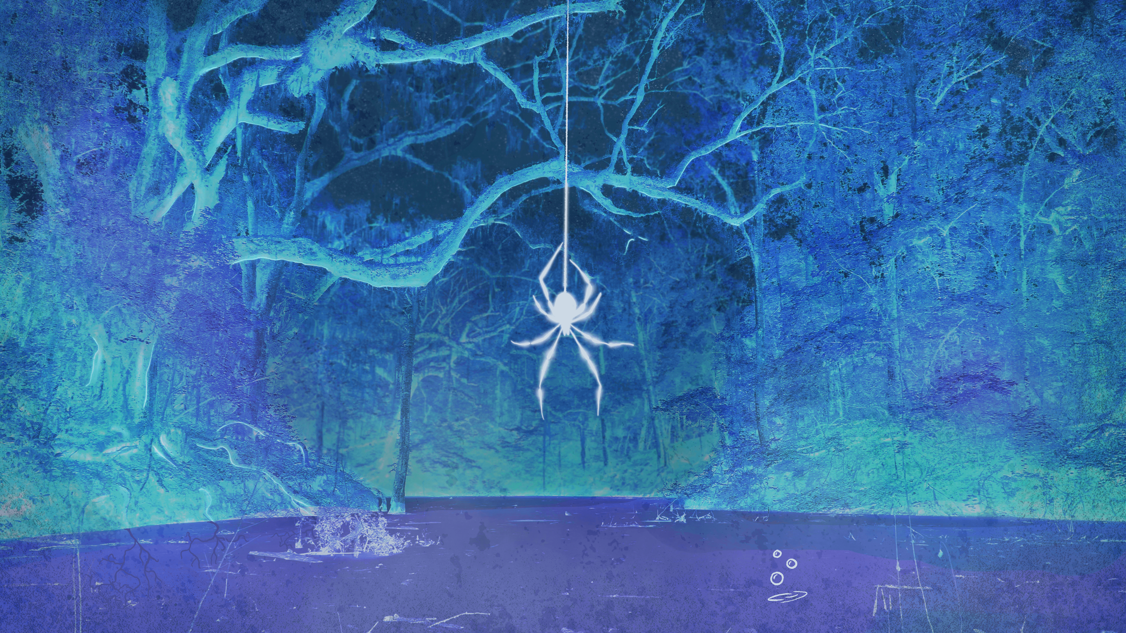 Alachua Sink REIMAGINED