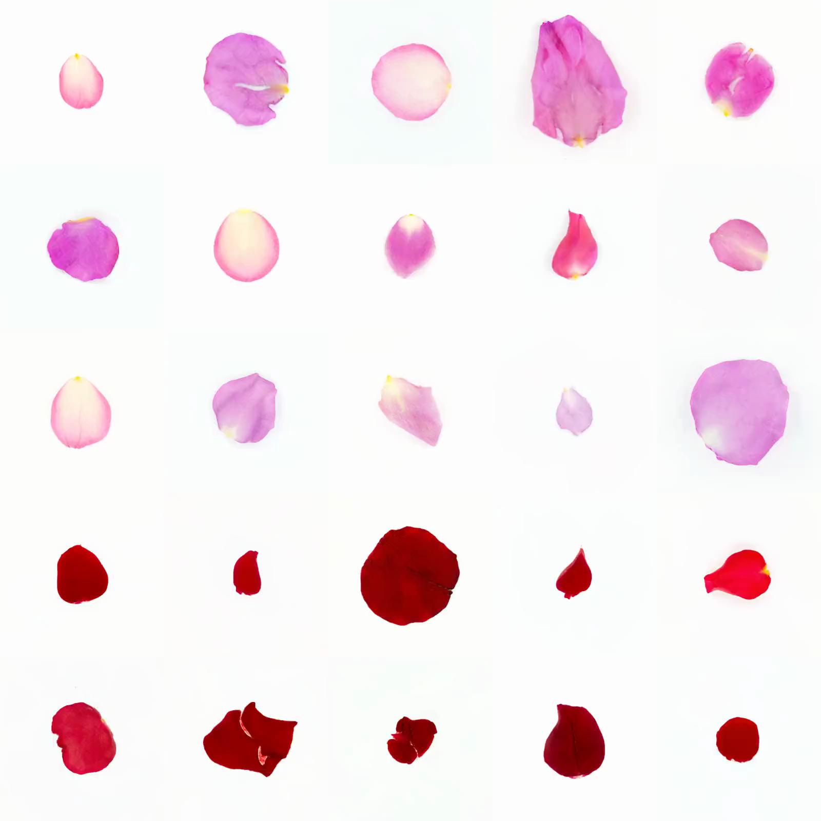 Infinite Petals 5x5#20085