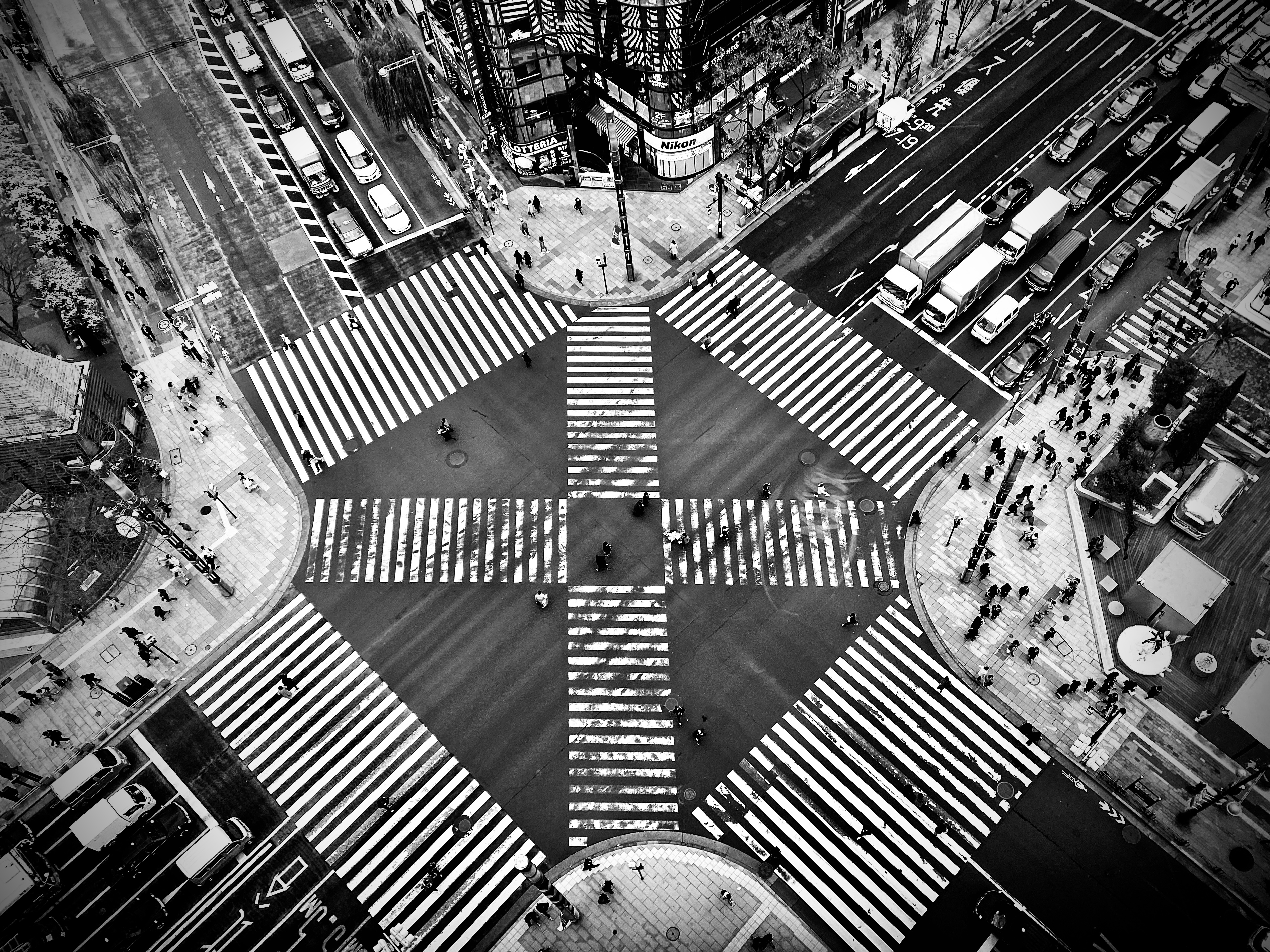 CS Community Collection #185