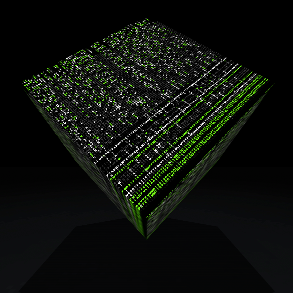 Template Token #7668