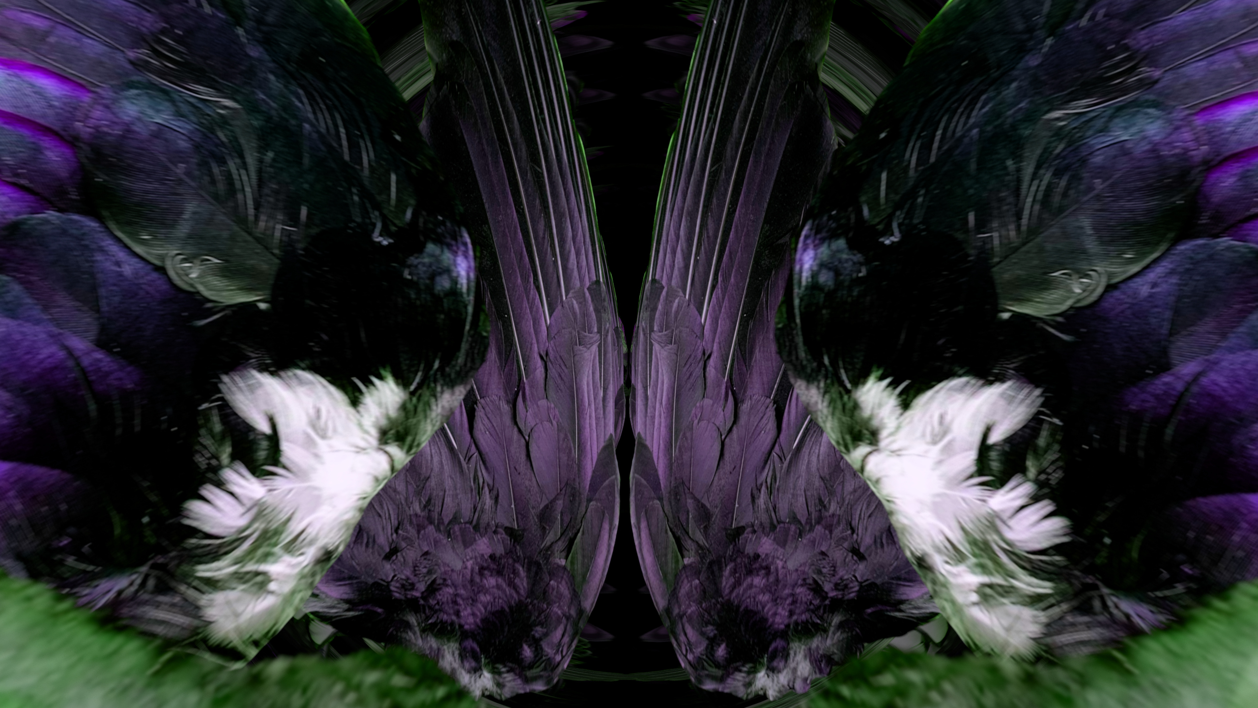 Fuga delle Sirene LXXIV