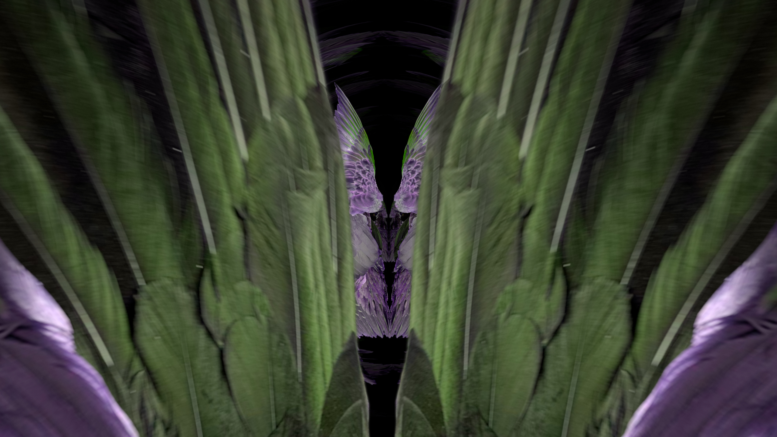 Fuga delle Sirene XCIX