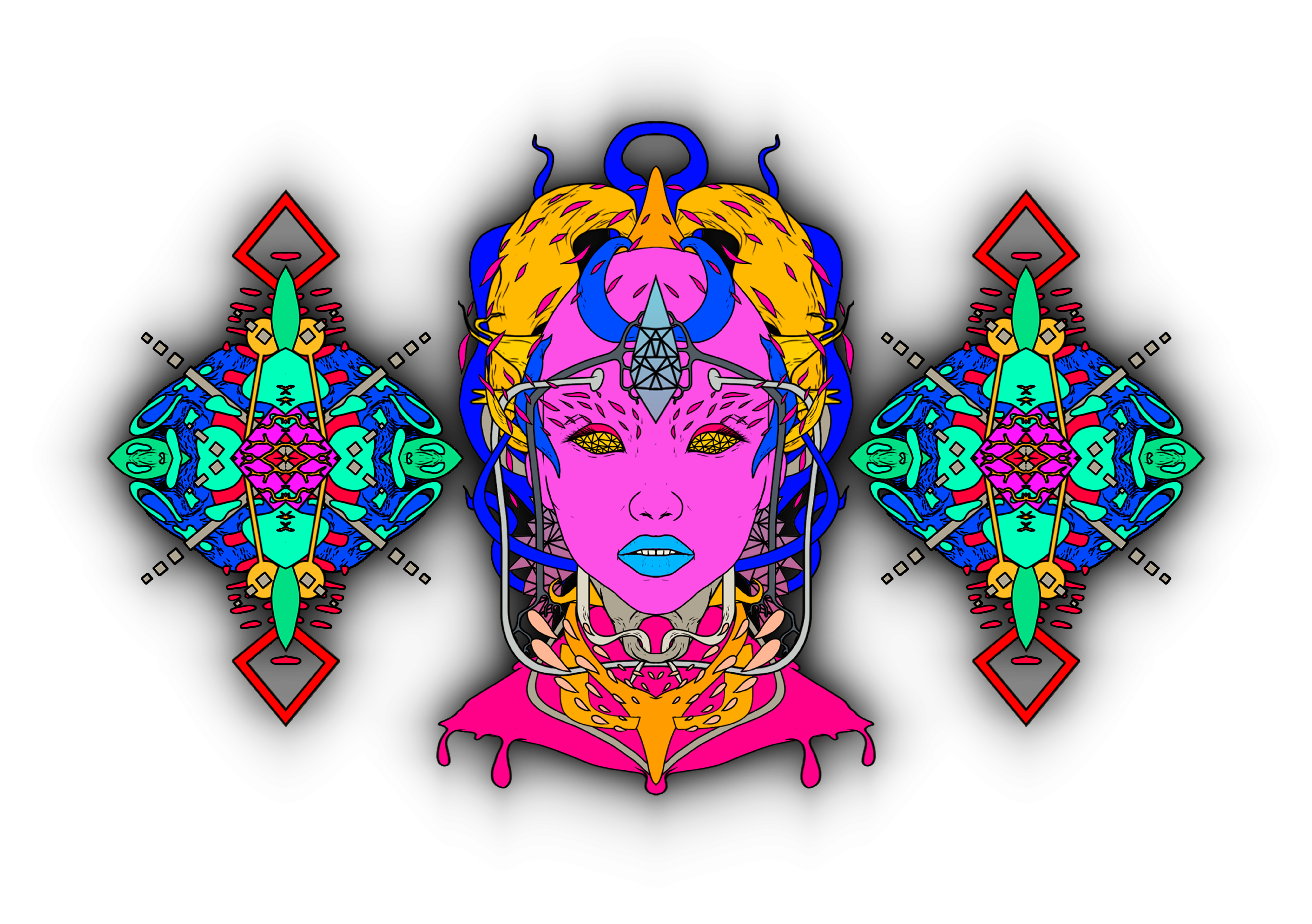 VIVI-INTERNARA 