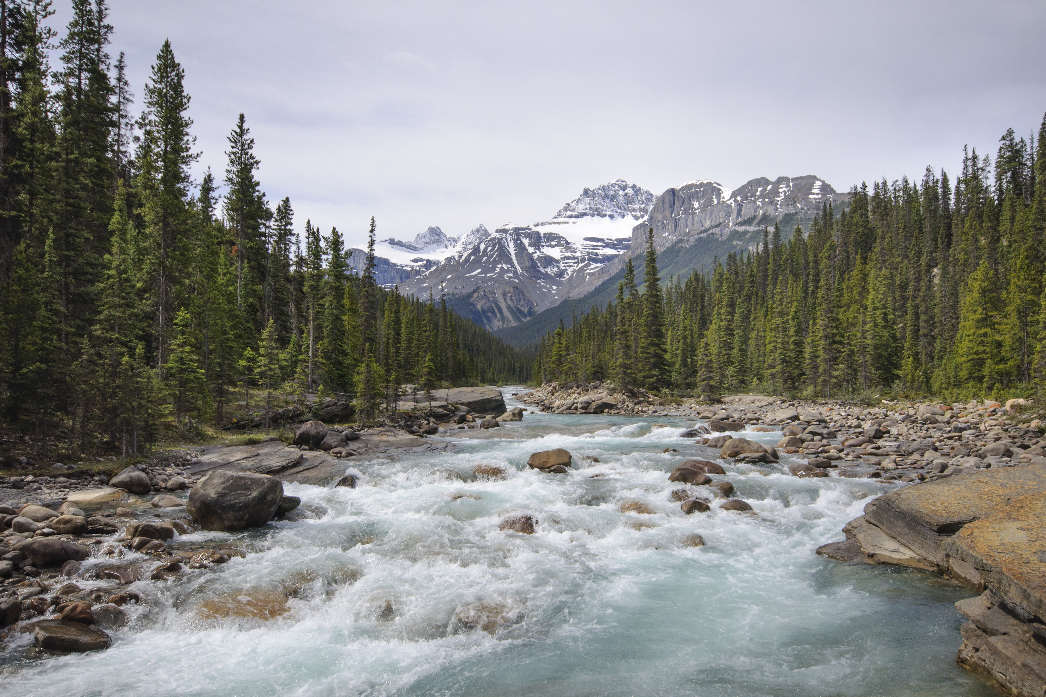 A Picture in Time #26