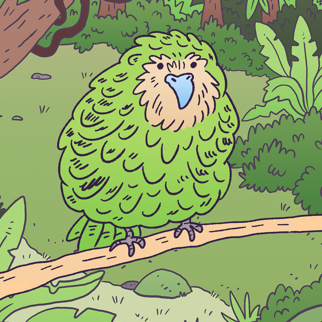 Kakapo #1193