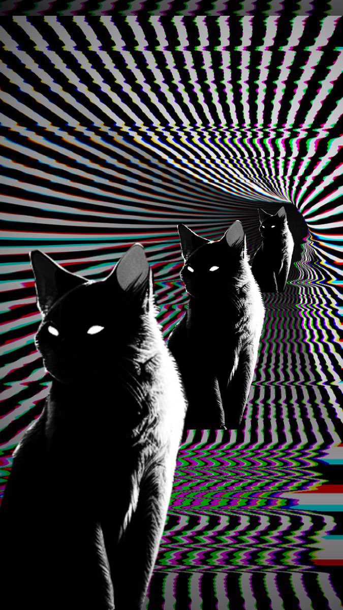 collage image-1 for the collection