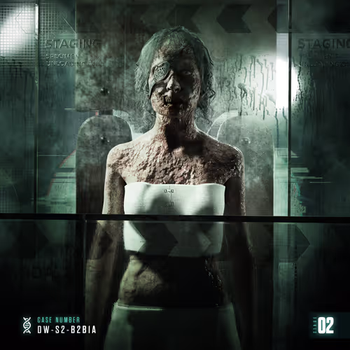 Stage 02: DW-S2-B2B1A