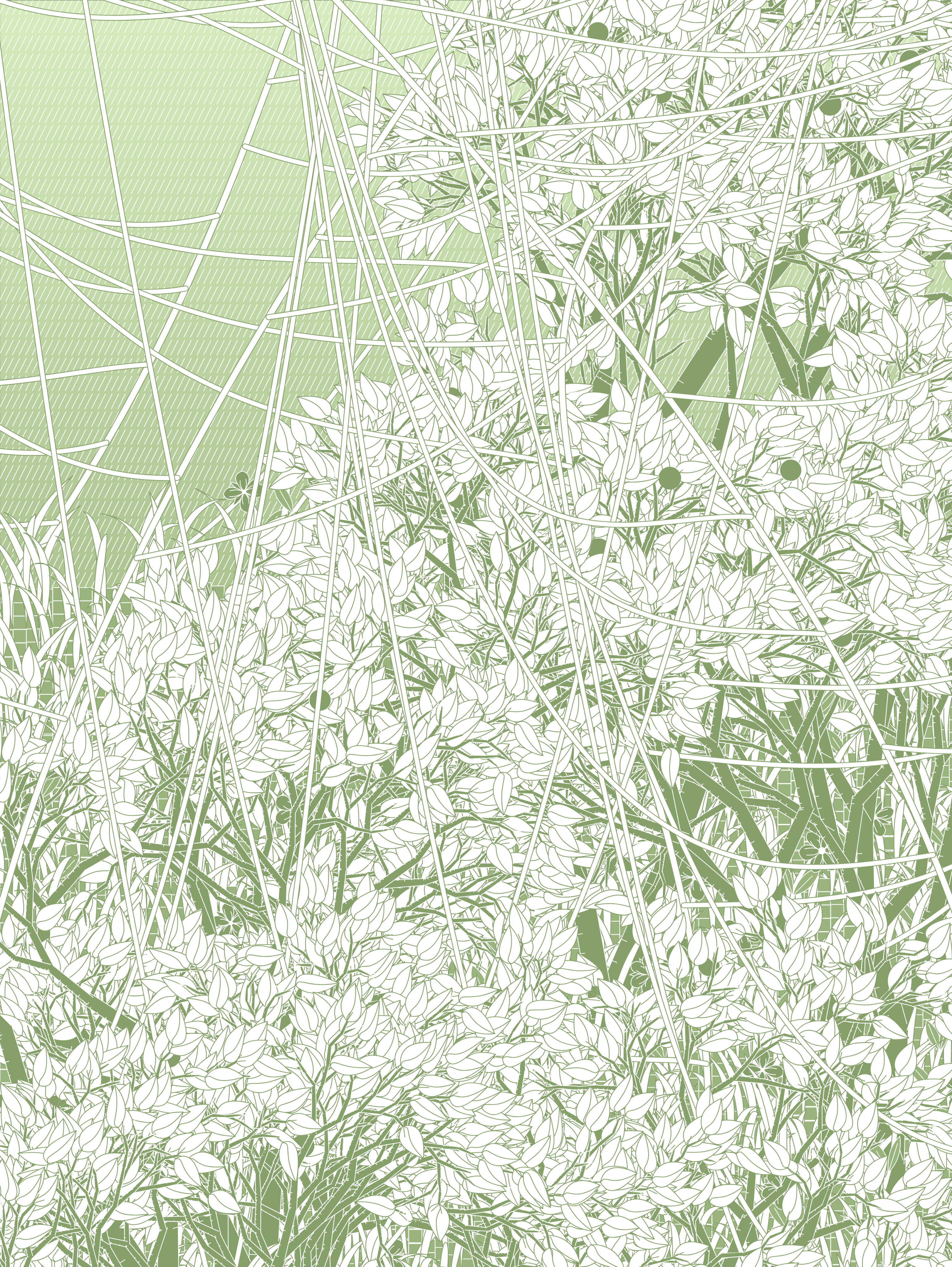 Entangled #479